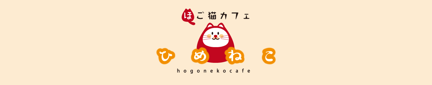 保護猫カフェ「ひめねこ」